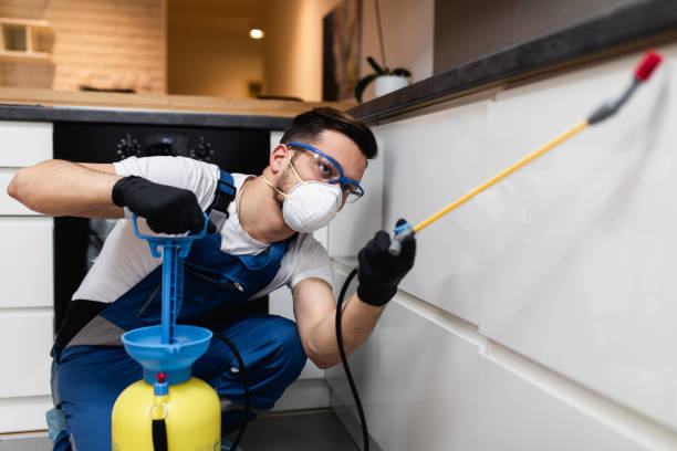 Best Ant Control Services  in Mount Pulaski, IL