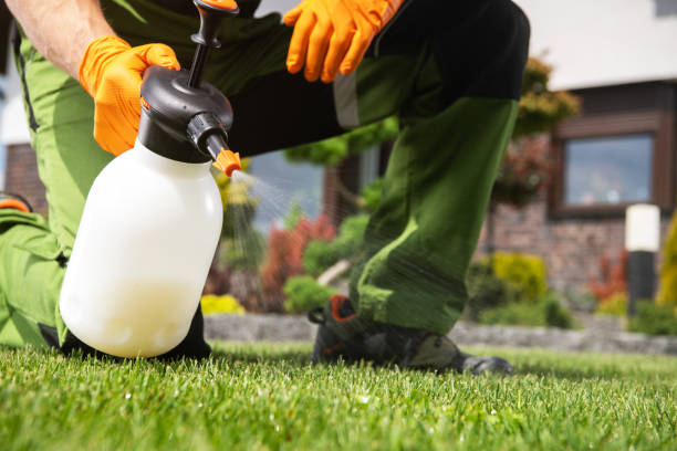 Best Wasp Removal Services  in Mount Pulaski, IL