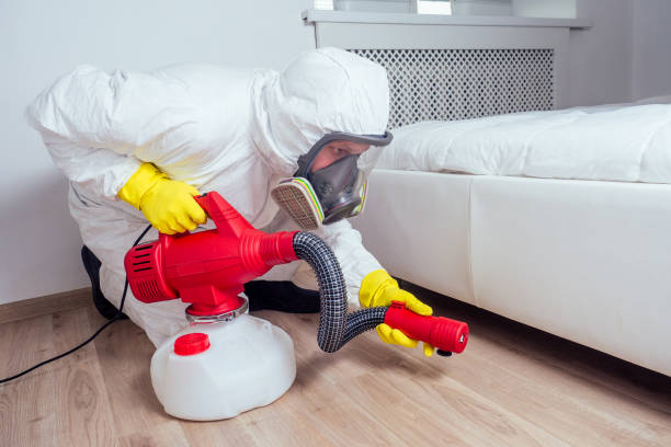 Best Pest Prevention Services  in Mount Pulaski, IL
