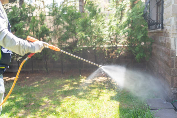 Professional Pest Control in Mount Pulaski, IL