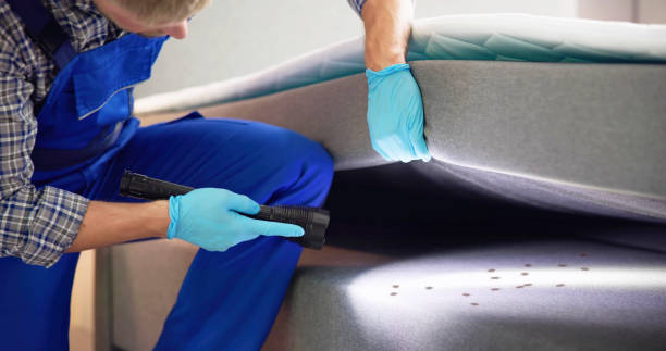 Best Bed Bug Extermination  in Mount Pulaski, IL