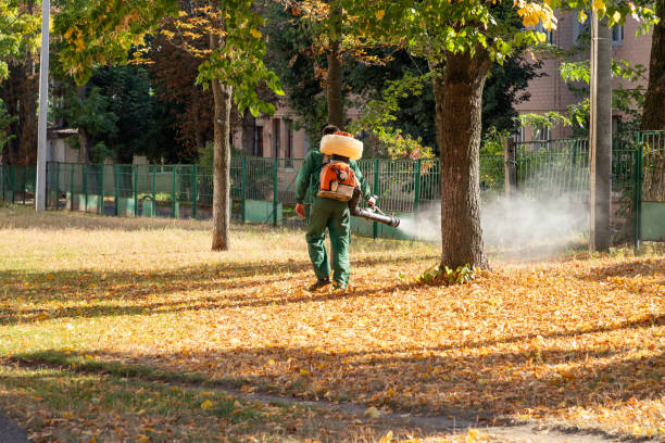 Best Mosquito Control Services  in Mount Pulaski, IL