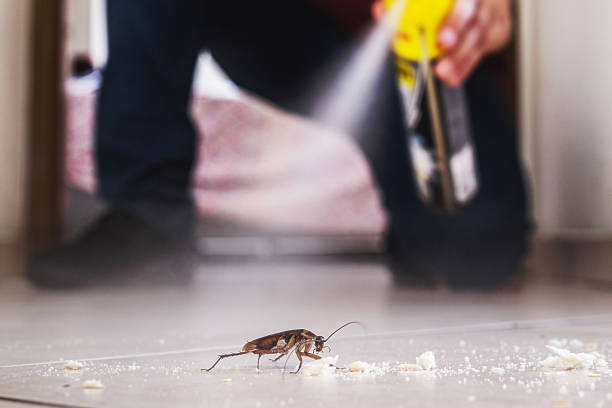 Best Residential Pest Control  in Mount Pulaski, IL