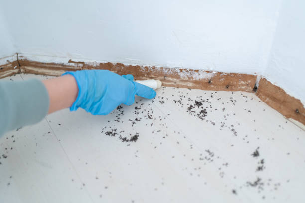 Best Pest Inspection Near Me  in Mount Pulaski, IL