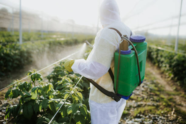 Best Best Pest Control Companies  in Mount Pulaski, IL